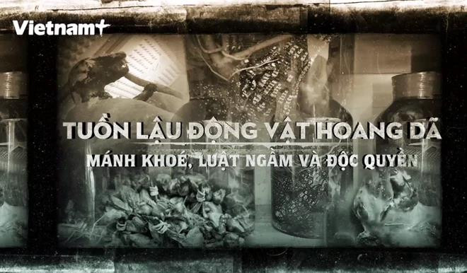 Le Vietnam doit prendre des mesures drastiques pour empêcher le trafic d'espèces sauvages ảnh 2 Le Vietnam doit prendre des mesures drastiques pour empêcher le trafic d'espèces sauvages ảnh 2