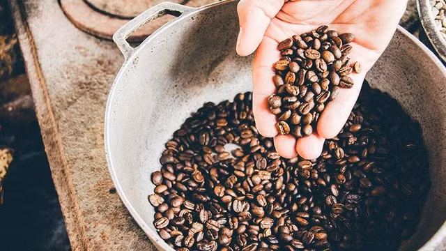 Washington Post: le Vietnam mise sur un grain de café résistant au changement climatique ảnh 1