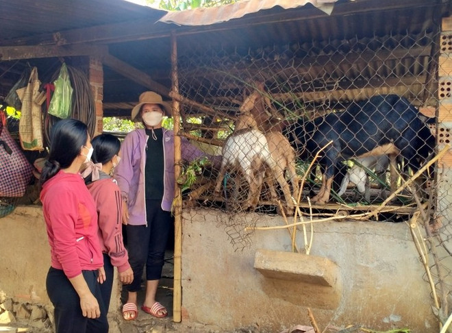 Des moyens de subsistances durables pour les femmes ethniques ảnh 1 Des moyens de subsistances durables pour les femmes ethniques ảnh 1