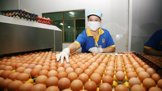 Le Vietnam se porte bien dans son rôle de leader dans la transformation du système alimentaire ảnh 1 Le Vietnam se porte bien dans son rôle de leader dans la transformation du système alimentaire ảnh 1