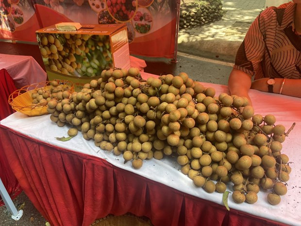 Exportations de fruits et légumes du Vietnam : 5 milliards de dollars visés cette année ảnh 2 Exportations de fruits et légumes du Vietnam : 5 milliards de dollars visés cette année ảnh 2