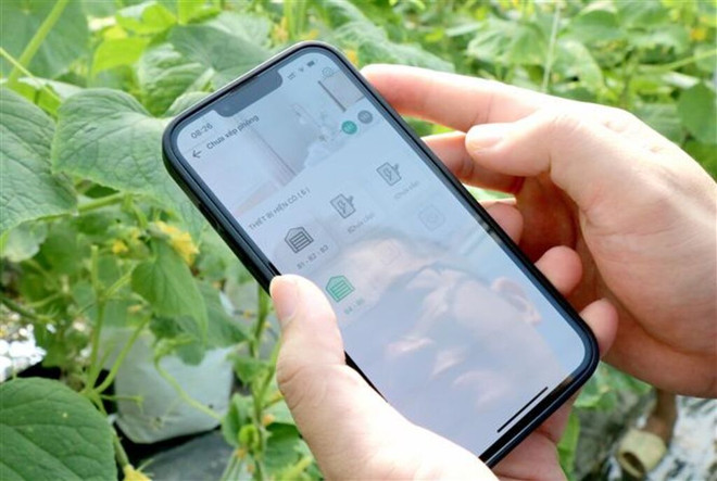 Hanoï accélère le développement agricole durable ảnh 1 Hanoï accélère le développement agricole durable ảnh 1