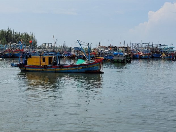Le Vietnam renforce les contrôles des bateaux pour empêcher la pêche illégale ảnh 1 Le Vietnam renforce les contrôles des bateaux pour empêcher la pêche illégale ảnh 1