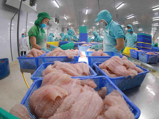 Les exportations de produits aquatiques représenteront plus de 7% des parts du marché mondial ảnh 1