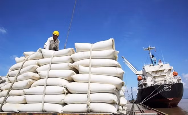Le conflit en Ukraine n’affecte pas les exportations de riz du Vietnam ảnh 1