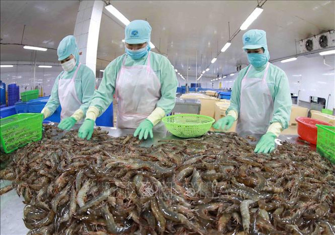 Les exportations de produits aquatiques progressent de 34% en dix mois ảnh 2 Les exportations de produits aquatiques progressent de 34% en dix mois ảnh 2
