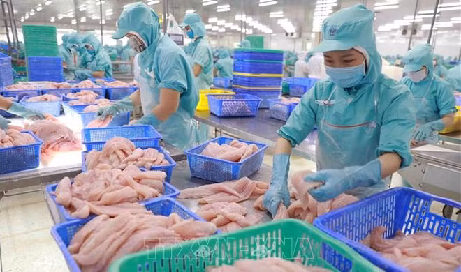 Les exportations de produits aquatiques progressent de 34% en dix mois ảnh 1