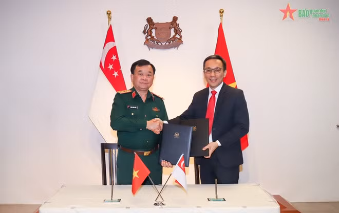 Le Vietnam et Singapour réaffirment leur coopération de défense ảnh 2