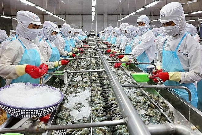 Les exportations de produits aquatiques pourraient dépasser les 10 milliards de dollars en 2022 ảnh 1 Les exportations de produits aquatiques pourraient dépasser les 10 milliards de dollars en 2022 ảnh 1