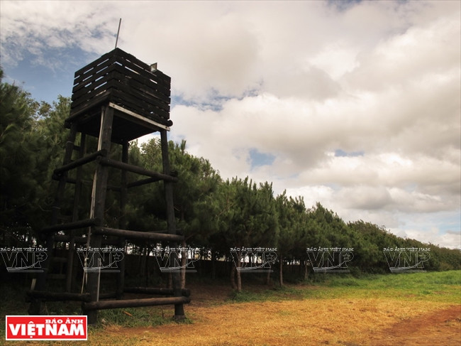 A la découverte d’une campagne européenne à Lâm Dông ảnh 8 A la découverte d’une campagne européenne à Lâm Dông ảnh 8