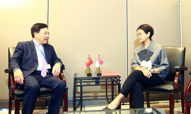 Le Vietnam promeut les relations de coopération bilatérale ảnh 1 Le Vietnam promeut les relations de coopération bilatérale ảnh 1