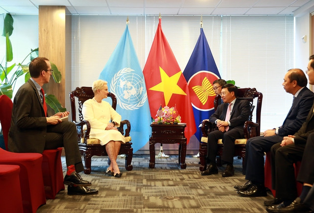 Le Vietnam promeut les relations de coopération bilatérale ảnh 3 Le Vietnam promeut les relations de coopération bilatérale ảnh 3