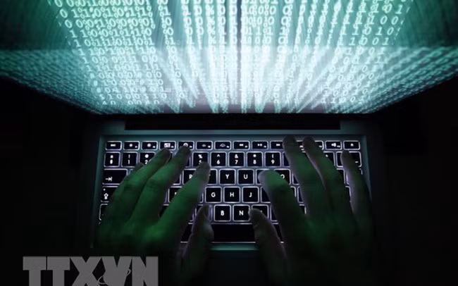 Détection de près de 3.000 adresses IP liées à des pertes de données ảnh 1
