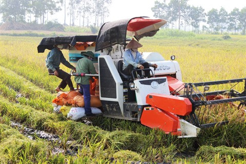 Ninh Binh encourage la production agricole propre ảnh 1 Ninh Binh encourage la production agricole propre ảnh 1