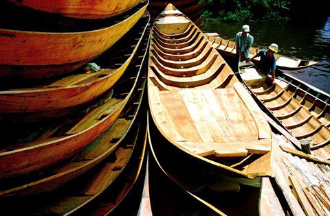Les crues, un don de la nature pour le delta du Mékong ảnh 2 Les crues, un don de la nature pour le delta du Mékong ảnh 2