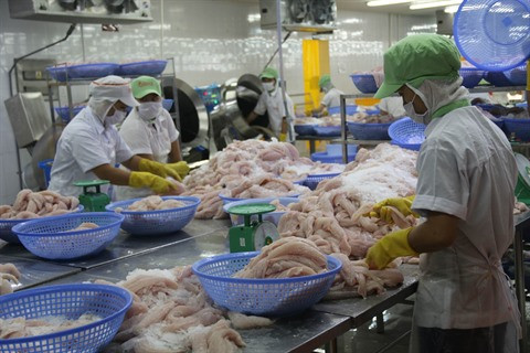 Les exportations de poissons Tra ciblent 2,4 milliards de dollars ảnh 1 Les exportations de poissons Tra ciblent 2,4 milliards de dollars ảnh 1