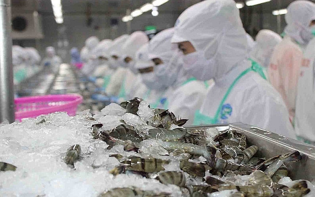 La filière crevetticole vise un chiffre d’affaires à l’export de 500 millions d'USD en R. de Corée ảnh 1 La filière crevetticole vise un chiffre d’affaires à l’export de 500 millions d'USD en R. de Corée ảnh 1