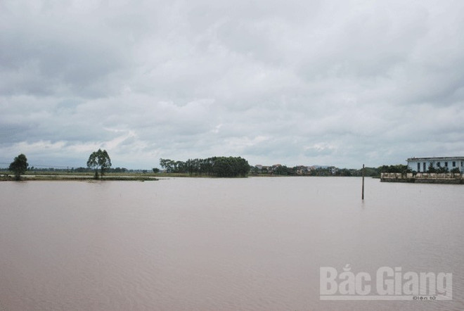 Bac Giang subit des pluies diluviennes ảnh 1 Bac Giang subit des pluies diluviennes ảnh 1