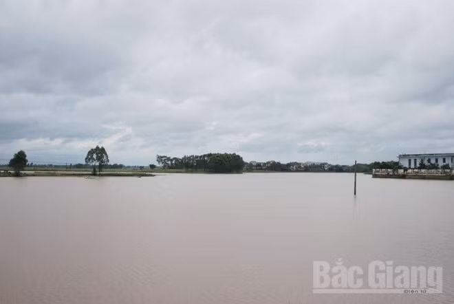 Bac Giang subit des pluies diluviennes ảnh 1