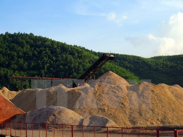 Exportation de 1,8 million de tonnes de copeaux de bois lors du premier semestre ảnh 1 Exportation de 1,8 million de tonnes de copeaux de bois lors du premier semestre ảnh 1