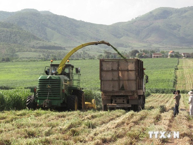 Le 12e Congrès du Parti : le développement agricole associé à l'édification d'une Nouvelle ruralité ảnh 2 Le 12e Congrès du Parti : le développement agricole associé à l'édification d'une Nouvelle ruralité ảnh 2
