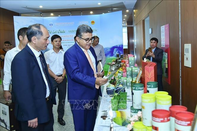 Le commerce et le tourisme offrent des opportunités de coopération Vietnam- Israël ảnh 1 Le commerce et le tourisme offrent des opportunités de coopération Vietnam- Israël ảnh 1