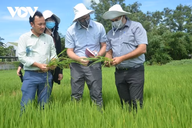 L’innovation agricole est en marche ảnh 1 L’innovation agricole est en marche ảnh 1