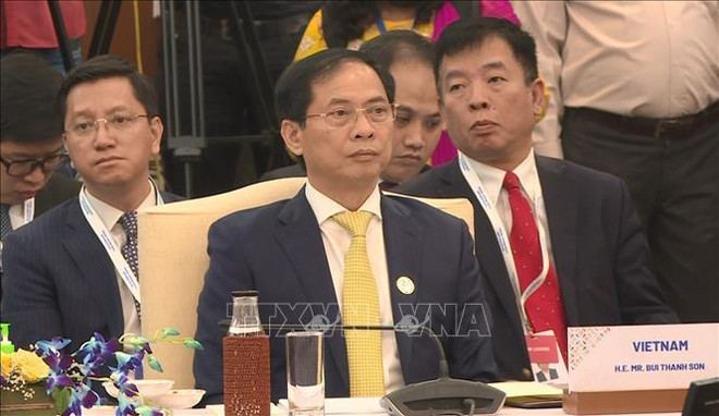 Le ministre des AE Bui Thanh Son à la réunion spéciale des ministres des AE ASEAN-Inde ảnh 1 Le ministre des AE Bui Thanh Son à la réunion spéciale des ministres des AE ASEAN-Inde ảnh 1