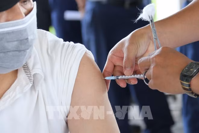 COVID-19: 774 nouveaux cas détectés en 24 heures ảnh 1