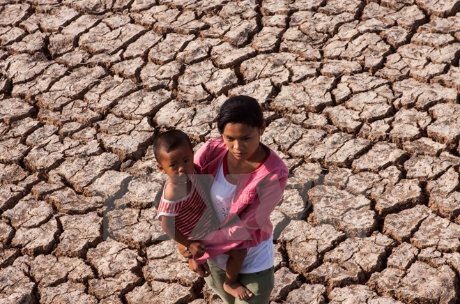 L’adaptation au changement climatique, une urgence pour le delta du Mékong ảnh 1 L’adaptation au changement climatique, une urgence pour le delta du Mékong ảnh 1