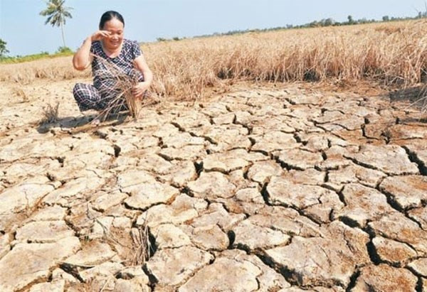 15 tempêtes frapperont le Vietnam en 2017 ảnh 1 15 tempêtes frapperont le Vietnam en 2017 ảnh 1