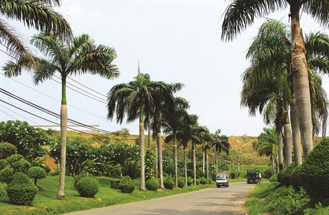 À Hô Chi Minh-Ville, une décharge transformée en jardin hi-tech ảnh 2 À Hô Chi Minh-Ville, une décharge transformée en jardin hi-tech ảnh 2