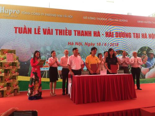 Semaine des litchis "Thiêu" de Thanh Hà-Hai Duong à Hanoï ảnh 1 Semaine des litchis "Thiêu" de Thanh Hà-Hai Duong à Hanoï ảnh 1