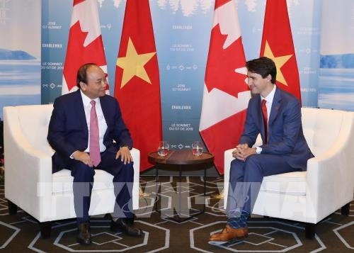 Rehausser la position du Vietnam et créer une nouvelle force dans ses relations avec le Canada ảnh 1 Rehausser la position du Vietnam et créer une nouvelle force dans ses relations avec le Canada ảnh 1