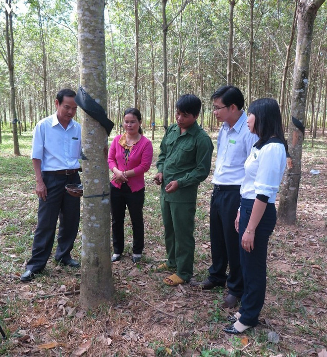 Duc Co s’emploie à éliminer la pauvreté au sein des minorités ethniques ảnh 2 Duc Co s’emploie à éliminer la pauvreté au sein des minorités ethniques ảnh 2