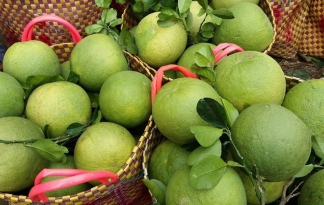 Les consommateurs américains attendent le pamplemousse vietnamien ảnh 1 Les consommateurs américains attendent le pamplemousse vietnamien ảnh 1
