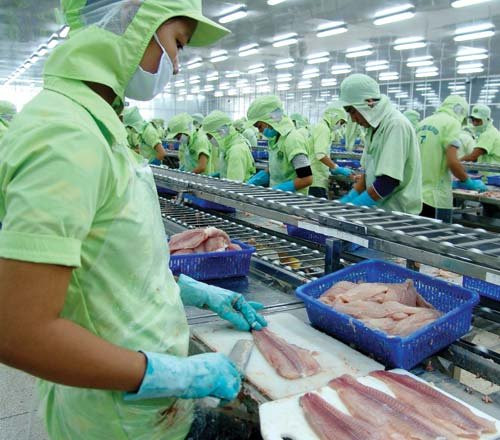 Le pangasius vietnamien cherche à accélérer sa dynamique de croissance vers la Malaisie ảnh 1 Le pangasius vietnamien cherche à accélérer sa dynamique de croissance vers la Malaisie ảnh 1