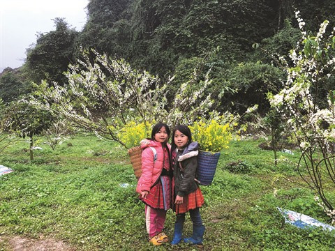 La nouvelle stratégie pour une vie meilleure des ethnies minoritaires ảnh 1