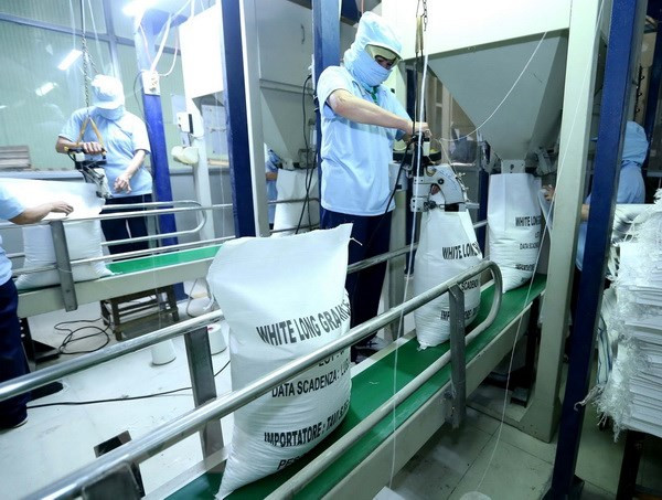 L’Égypte importera 1 million de tonnes de riz vietnamien ảnh 1