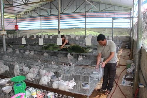 Partage des expériences dans l’instauration de la Nouvelle Ruralité en République de Corée ảnh 1 Partage des expériences dans l’instauration de la Nouvelle Ruralité en République de Corée ảnh 1