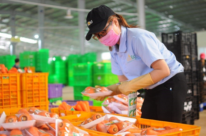 Hautes technologies – tendance inéluctable de l’agriculture moderne ảnh 4 Hautes technologies – tendance inéluctable de l’agriculture moderne ảnh 4