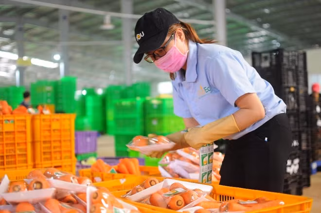 Hautes technologies – tendance inéluctable de l’agriculture moderne ảnh 4 Hautes technologies – tendance inéluctable de l’agriculture moderne ảnh 4
