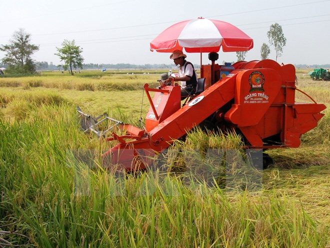 Hautes technologies – tendance inéluctable de l’agriculture moderne ảnh 3 Hautes technologies – tendance inéluctable de l’agriculture moderne ảnh 3
