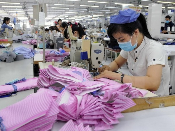 APEC-2017 : dynamisme pour le changement de conception des entreprises sur l’intégration ảnh 1