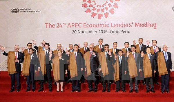 Des responsables vietnamiens estiment le succès du 24e Sommet de l'APEC à Pérou ảnh 1 Des responsables vietnamiens estiment le succès du 24e Sommet de l'APEC à Pérou ảnh 1