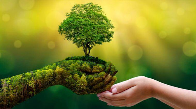 La croissance verte, choix incontournable du Vietnam ảnh 2 La croissance verte, choix incontournable du Vietnam ảnh 2