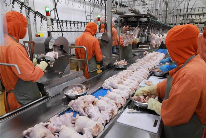 L'industrie alimentaire du Vietnam connaît une forte croissance ảnh 2 L'industrie alimentaire du Vietnam connaît une forte croissance ảnh 2
