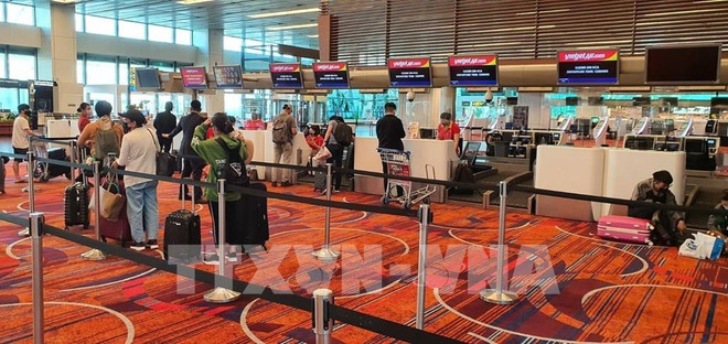 COVID-19 : rapatriement de près de 360 Vietnamiens de Singapour ảnh 1 COVID-19 : rapatriement de près de 360 Vietnamiens de Singapour ảnh 1