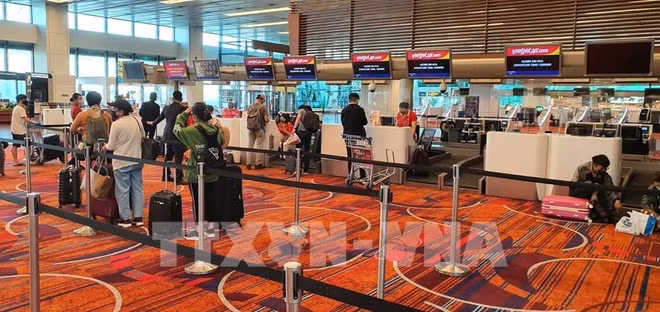 COVID-19 : rapatriement de près de 360 Vietnamiens de Singapour ảnh 1