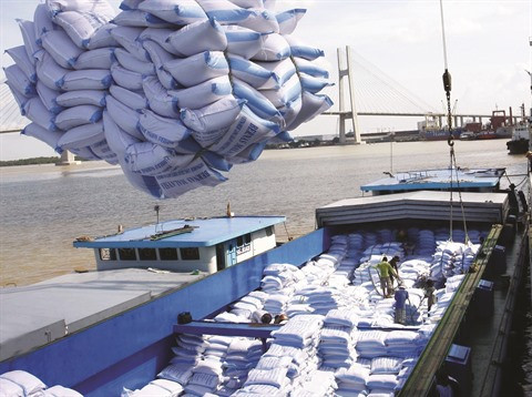 Les exportateurs vietnamiens sont prêts pour l’EVFTA ảnh 1 Les exportateurs vietnamiens sont prêts pour l’EVFTA ảnh 1